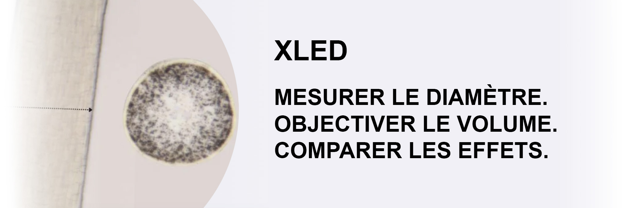 XLed